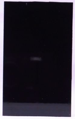 BLUISHBLACK-3.JPG