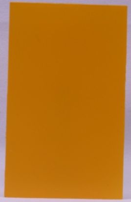CAMELYELLOW-2.JPG